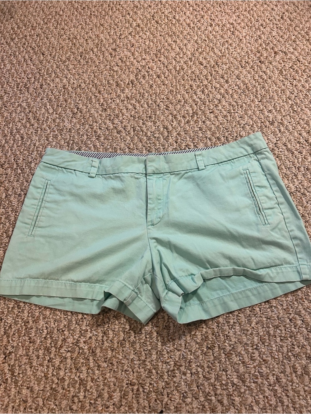 STYLUS Mint Green Chino Shorts
